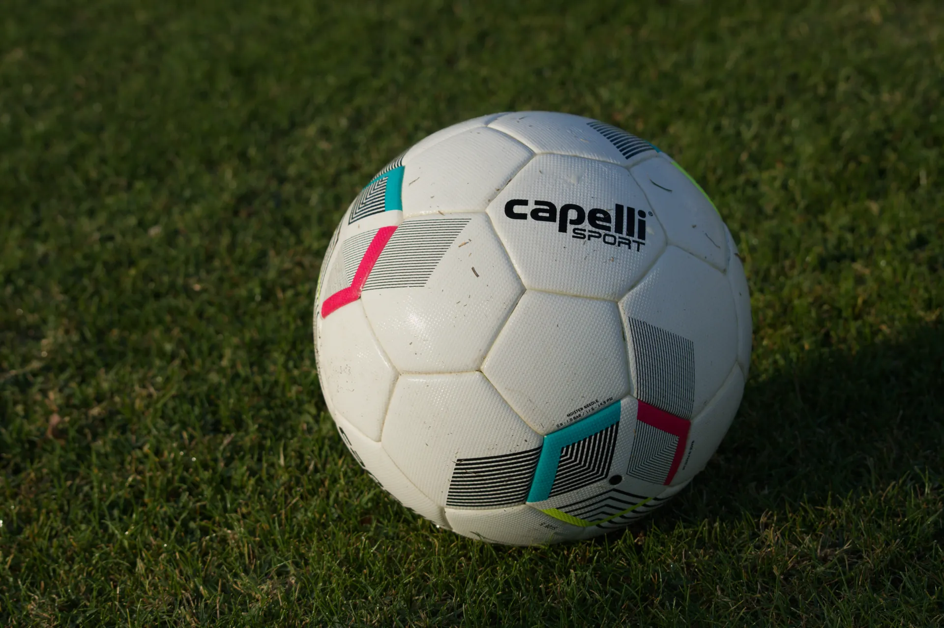 FK Zenta - Mađarska u19 - Bulgarija u19 - 24